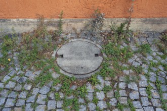 Stone paving with manhole cover and clover (Trifolium), near the Allgäuhalle, Kempten, Allgäu,