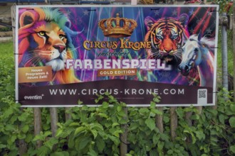 Advertising poster, circus, Circus-Krone, Kempten, Allgäu, Bavaria, Germany