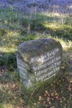 Stone signpost, blooming heather, heather blossom, Lüneburg Heath near Wilsede, Bispingen, Lower