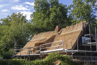 Thatched roof being renewed, Lüneburg Heath, Wilsede, Bispingen, Lower Saxony, Germany