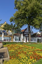 Houses on the Alter Strom, flowers, trees, Warnemünde, Rostock, Mecklenburg-Vorpommern, Germany