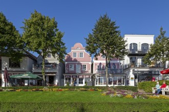 Houses on the Alter Strom, flowers, trees, Warnemünde, Rostock, Mecklenburg-Vorpommern, Germany