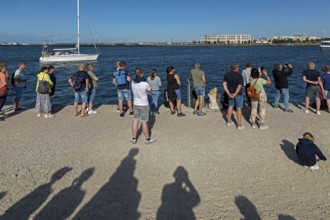 People waiting for the departure of the Aida mar, shadow, sailing boat, Unterwarnow, Warnemünde,