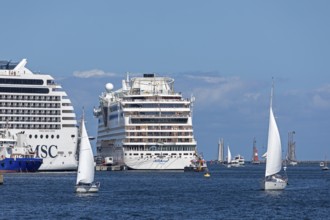 Cruise ships MSC Poesia and Aida mar in the harbour, sailing boats, Hanse-Sail, Unterwarnow,