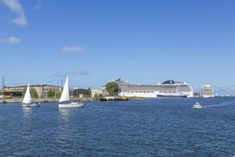 Cruise ships MSC Poesia and Aida mar in the harbour, sailing boats, Hanse-Sail, Unterwarnow,