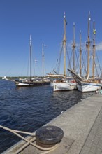 Sailing ships at the quay wall, Hanse-Sail, harbour, Rostock, Mecklenburg-Western Pomerania,