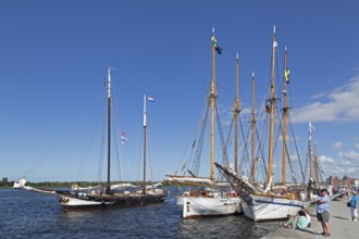 Sailing ships at the quay wall, Hanse-Sail, harbour, Rostock, Mecklenburg-Western Pomerania,