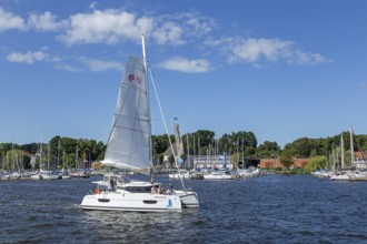 Sailing catamaran, Hanse-Sail, harbour, Rostock, Mecklenburg-Western Pomerania, Germany