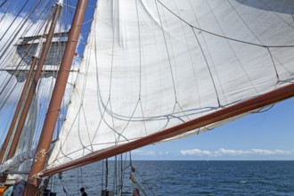 Sailing, sailing ship, Hanse-Sail, Baltic Sea near Warnemünde, Rostock, Mecklenburg-Western