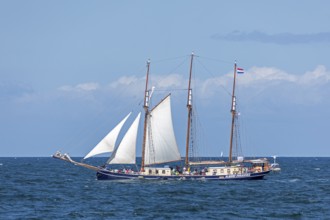 Sailing ship Albert Johannes, Hanse-Sail, Ostee near Warnemünde, Rostock, Mecklenburg-Vorpommern,