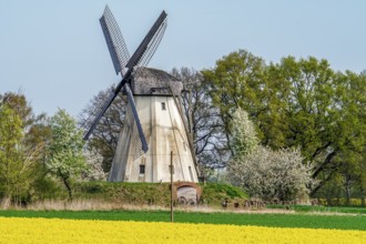 Windmill Großenheerse Germany