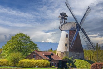 Windmill Spring Meissen Minden Germany