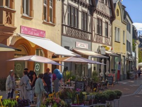 Street in pedestrian zone, French café, flower shop, traffic-calmed, old town, architecture,