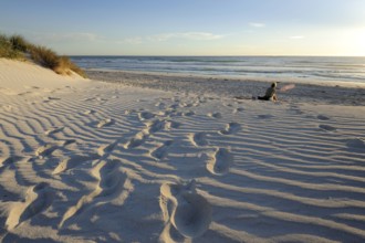 Beach and dunes near Lancelin, Perth, Western Australia, WA, Indian Ocean, Australia