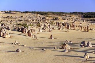 The Pinnacles, limestone pillars in the dunes, Nambung National Park near Cervantes, Perth, Western