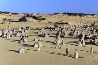 The Pinnacles, limestone pillars in the dunes, Nambung National Park near Cervantes, Perth, Western