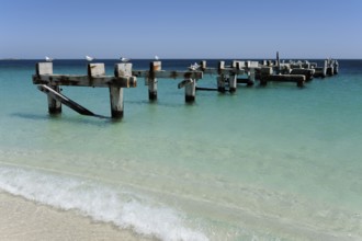 Beach and former jetty at Jurien Bay, Perth, Western Australia, WA, Indian Ocean, Australia