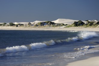 Beach and dunes near Lancelin, Perth, Western Australia, WA, Indian Ocean, Australia