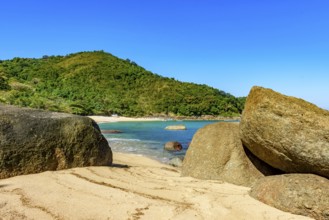 Beach and forest on the island of Ilhabela, north coast of the state of Sao Paulo, Ilhabela, Sao