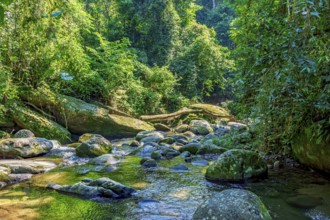 River crossing the rainforest on the paradise island of Ilhabela in Sao Paulo, Ilhabela, Sao Paulo,