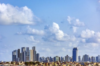 Skyline of the city of Recife in Pernambuco with a favela in front of the buildings, Recife,