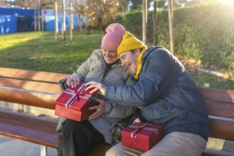 Elderly couple exchanging christmas gifts while sitting on a bench in a city park during a sunny