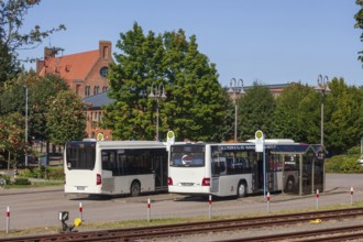 Zob, bus station, bus stop with buses, Hoya, Lower Saxony, Germany