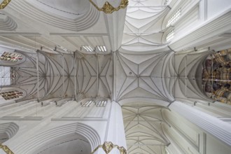 Star-ribbed vault, choir, Gothic figure painting, Marienkirche, Protestant-Lutheran, North German