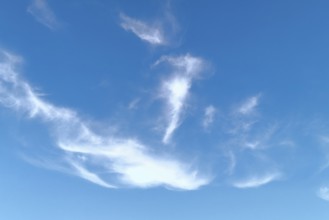 Fibrous feather clouds Veil clouds Cirrus under a blue sky, international