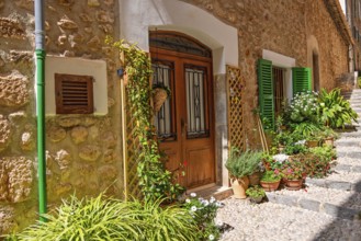 Apartment door with flowers and green plants outside on a stair in a cobblestone alley a sunny