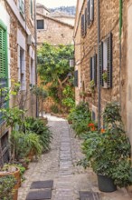 Idyllic cobblestone alley with homes in an old village with green plants and flowers in pots