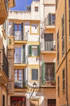 Residential houses with balconies in a narrow alley in the old town, Palma de Mallorca, Mallorca,