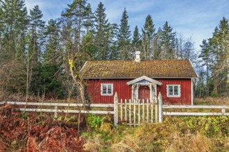 Red wooden cottage with a with fence and a gate an autumn day by the forest edge, Sweden