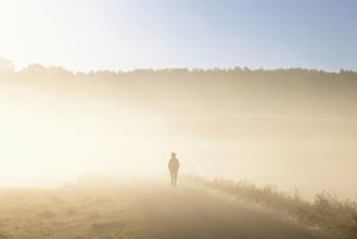 Alone person in silhouette walking on a dirt road in the countryside in the morning fog