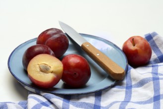 Red plums on plate with kitchen knife, Prunus domestica
