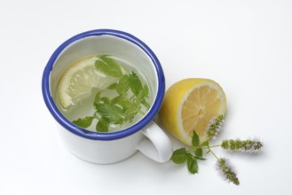 Peppermint tea, peppermint leaves and a slice of lemon in a cup of hot water