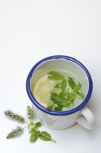 Peppermint tea, peppermint leaves and a slice of lemon in a cup of hot water