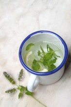 Peppermint tea, peppermint leaves and a slice of lemon in a cup of hot water