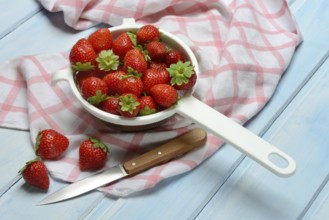 Strawberries in a colander, Fragaria x ananassa