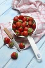 Strawberries in a colander, Fragaria x ananassa