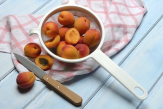 Apricots in colander, halved, Prunus armeniaca