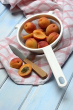 Apricots in colander, halved, Prunus armeniaca