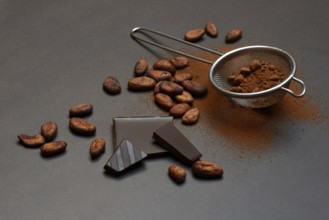 Kitchen sieve with cocoa powder and chocolate, cocoa and cocoa beans