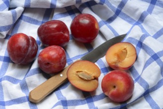 Red plums with knife on cloth, halved, Prunus domestica