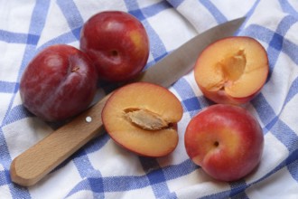 Red plums with knife on cloth, halved, Prunus domestica