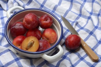 Red plums in skin on cloth, Prunus domestica