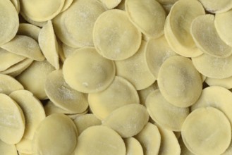 Anolini, filled dumplings, pasta variety from Italy, Anolini piacentini