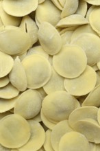 Anolini, filled dumplings, pasta variety from Italy, Anolini piacentini