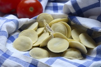 Anolini, filled pasta pockets on kitchen towel, pasta variety from Italy, Anolini piacentini