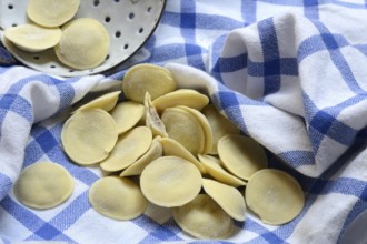 Anolini, filled dumplings with a sieve, pasta variety from Italy, Anolini piacentini
